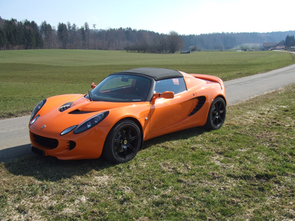 elise-3