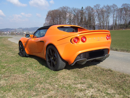 elise-4