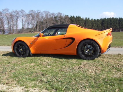 elise-6